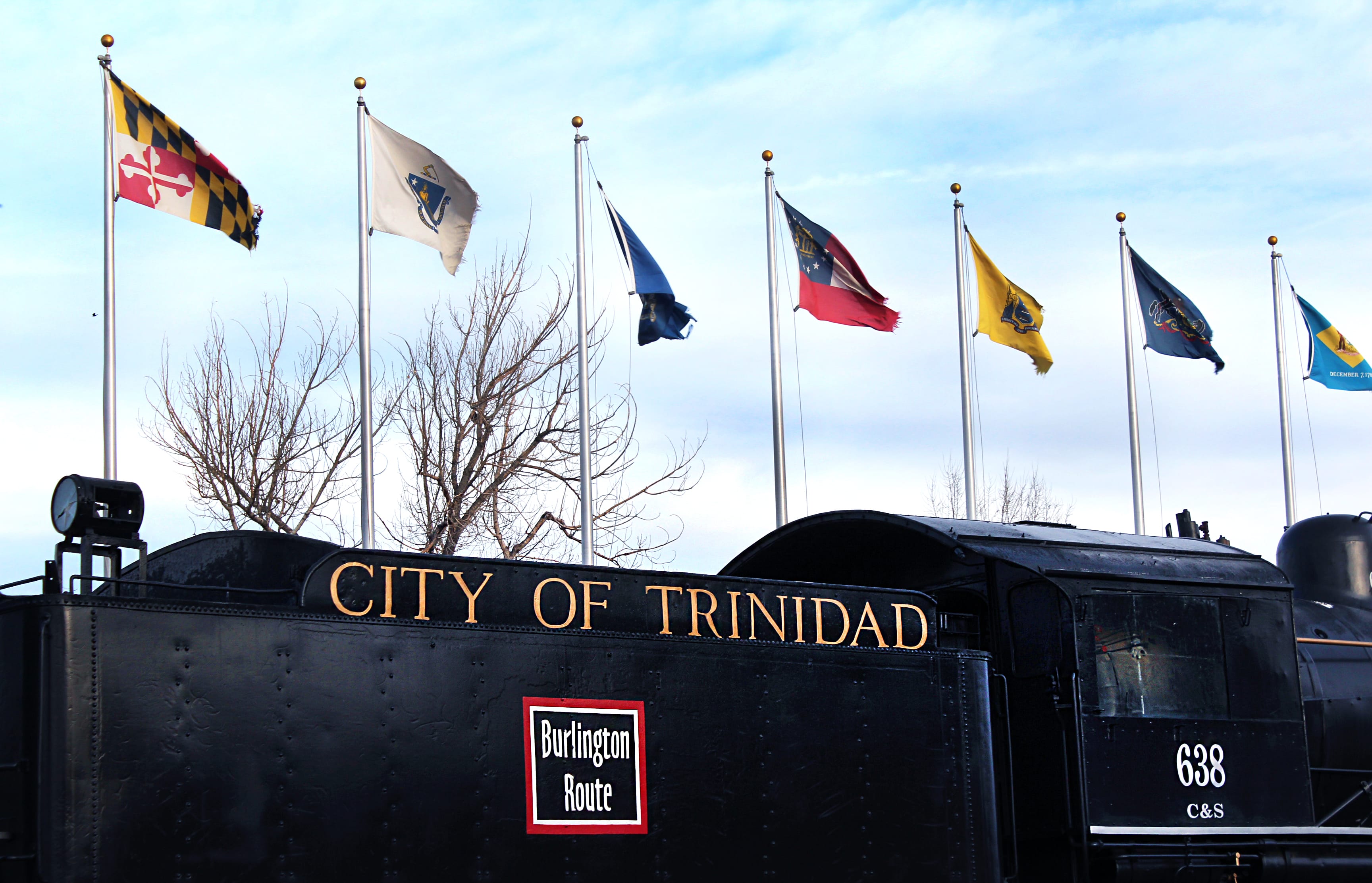 Image of freight train with flags