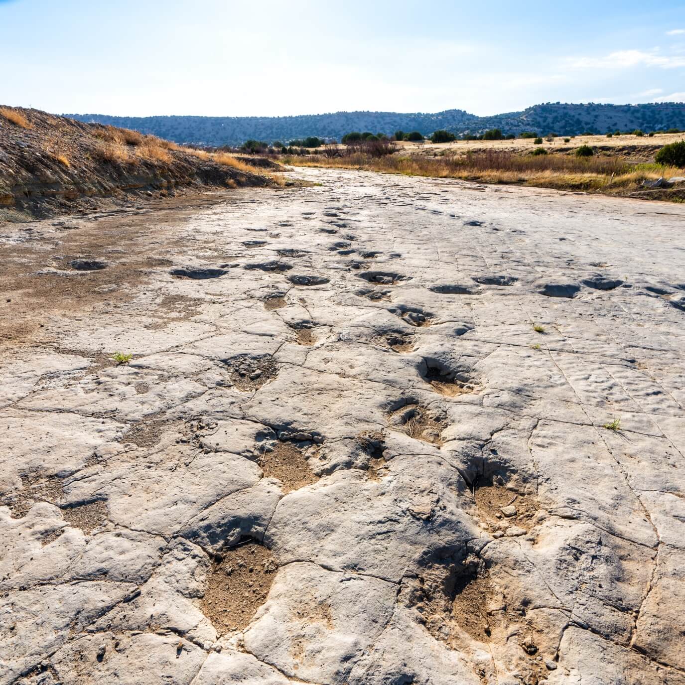 dinosaur tracks-comanche grasslands