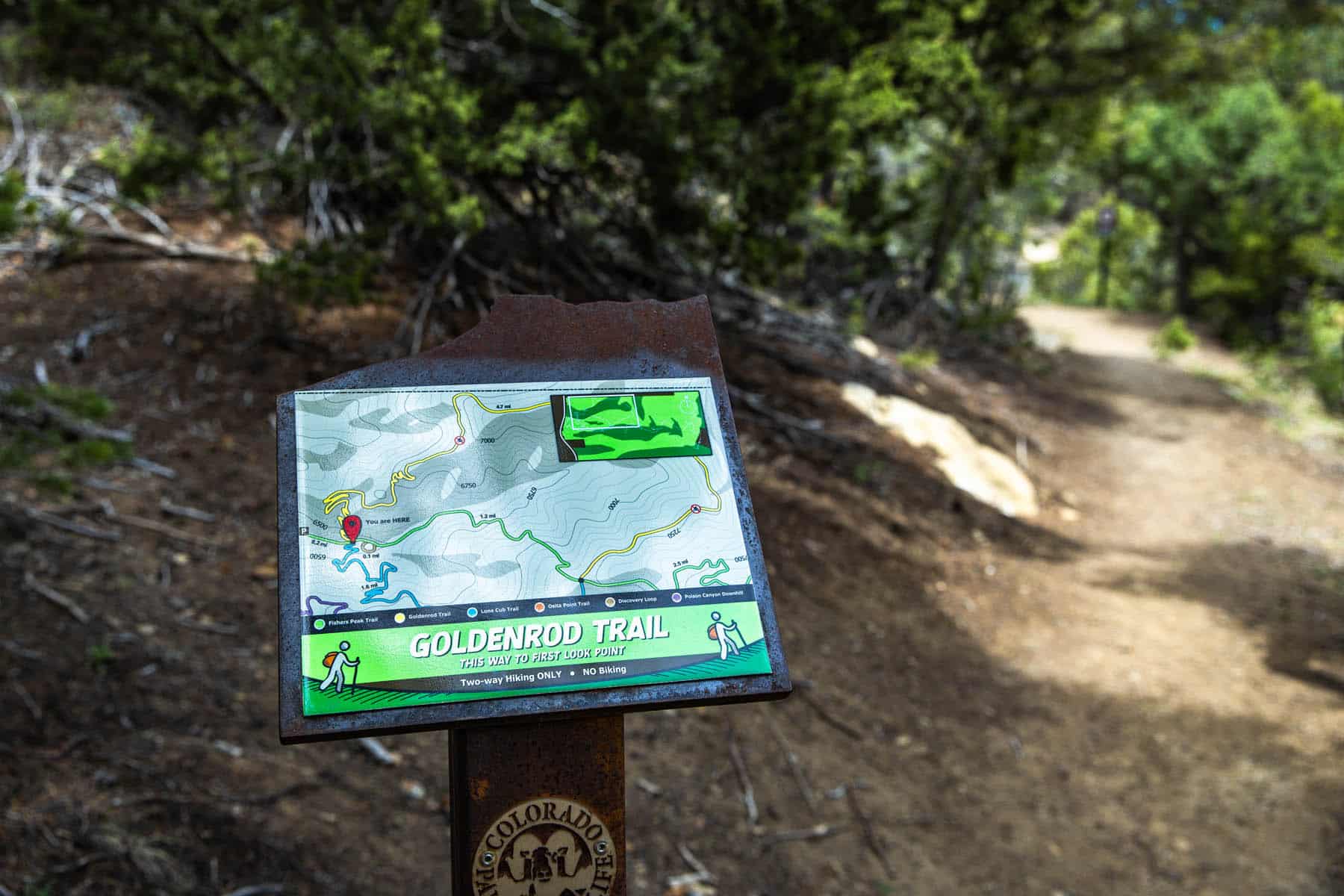 Goldenrod Trail, Fishers Peak State Park, Trinidad, CO