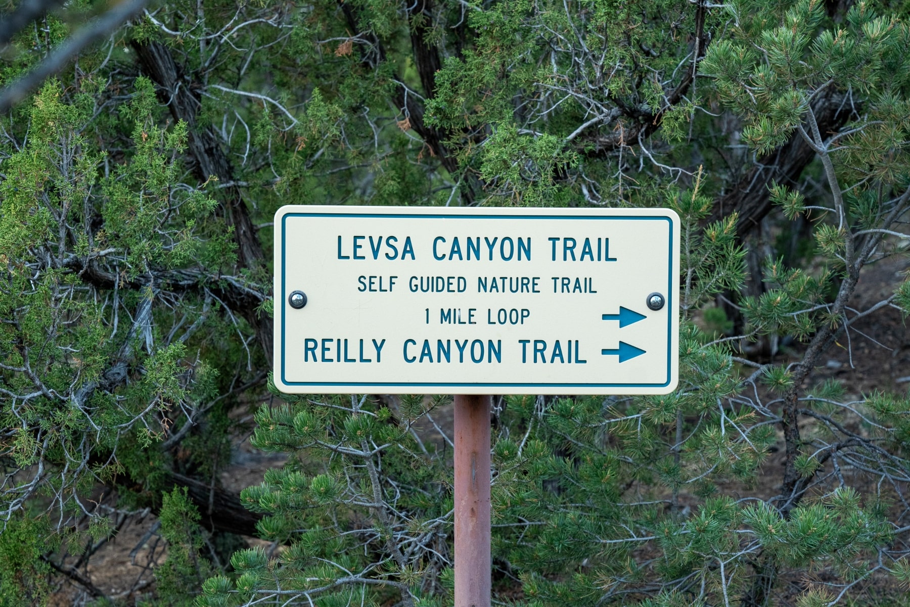 Levsa Canyon Trail and Reilly Canyon Trail Sign, Trinidad Lake State Park, Colorado