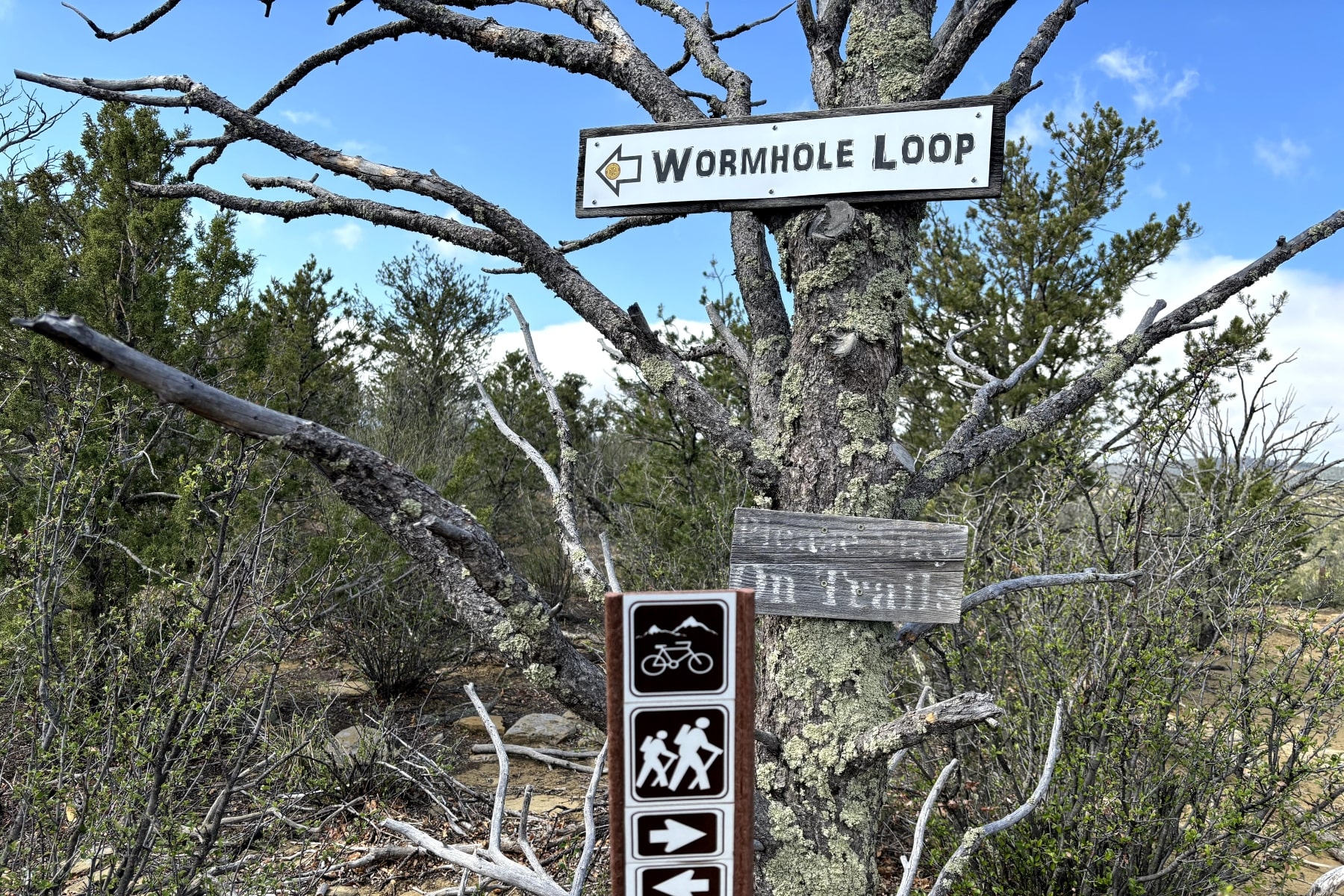 Wormhole Loop Trail, Trinidad, CO