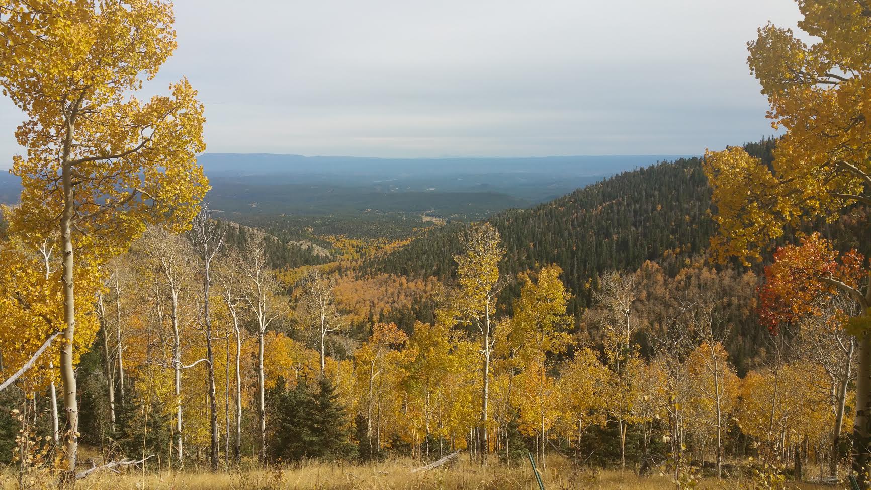 Fall on Cuchara Pass, Colorado