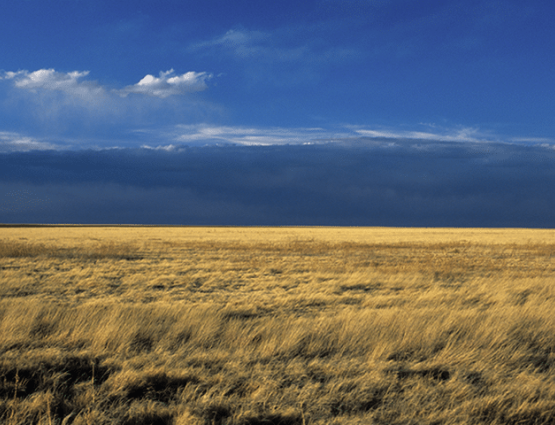 Image of comanche national grassland horizon