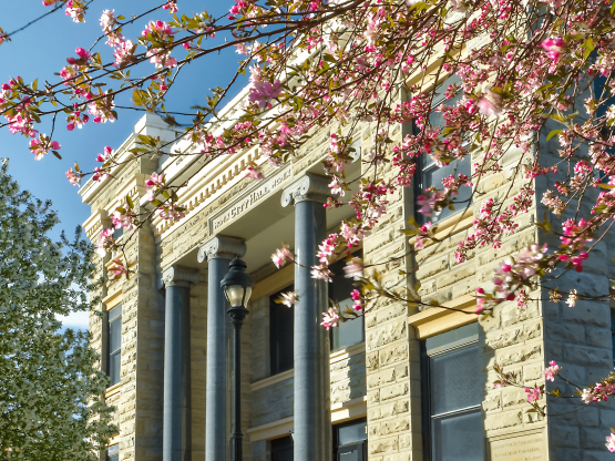 Image of Trinidad City Hall